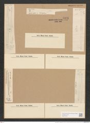 Synedra affinis var. delicatula Grun. (de-Toni-Nr.: Genus 66, Species 2607) Zeichnungen Sammlung Grunow Nr. 5331 (NHMW-BOT-W0373737)